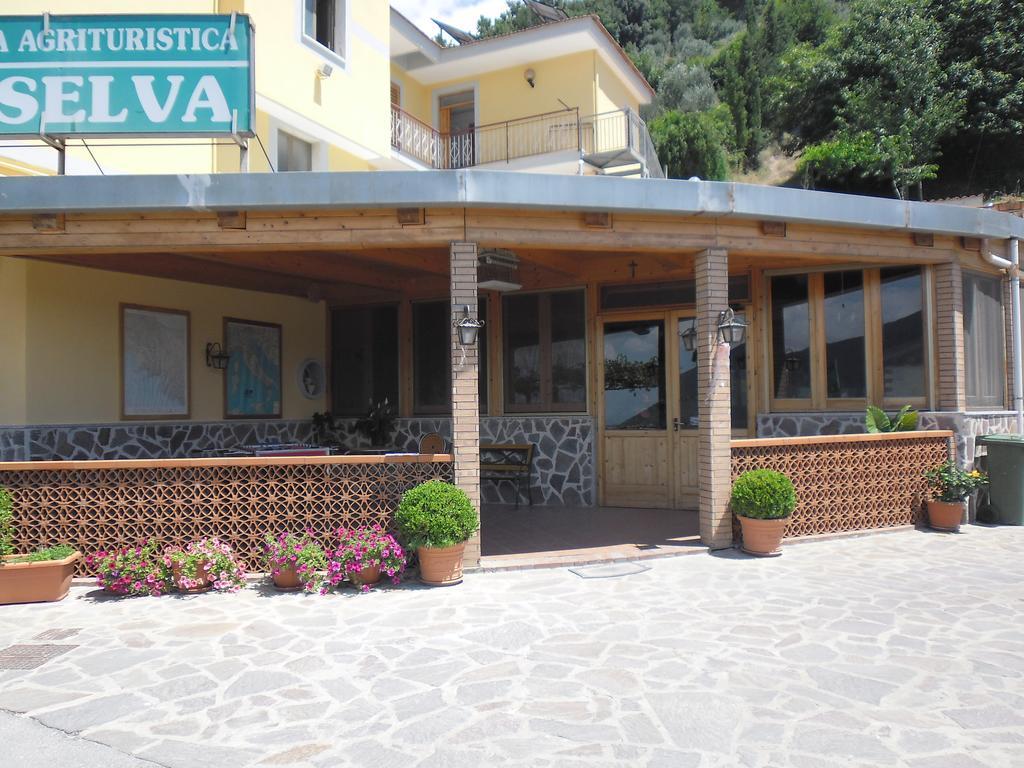 Agriturismo La Selva Villa Cava deʼ Tirreni Dış mekan fotoğraf